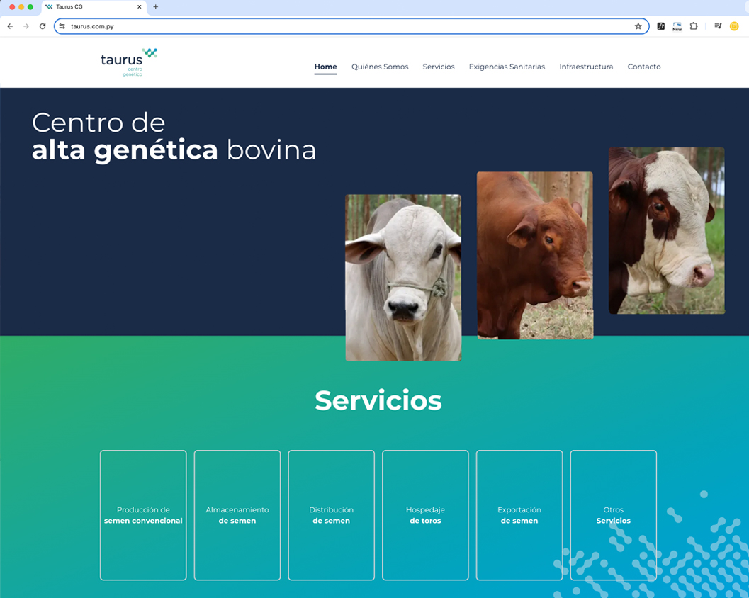 pagina web Taurus